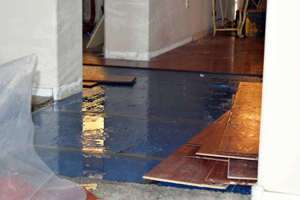 Professional Burst Pipe Cleanup technician working in Hainesport, NJ